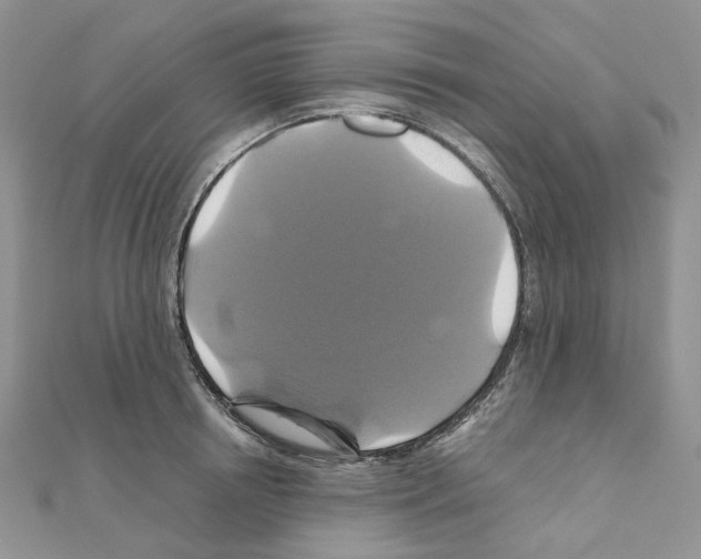 X0000110990850200907311008