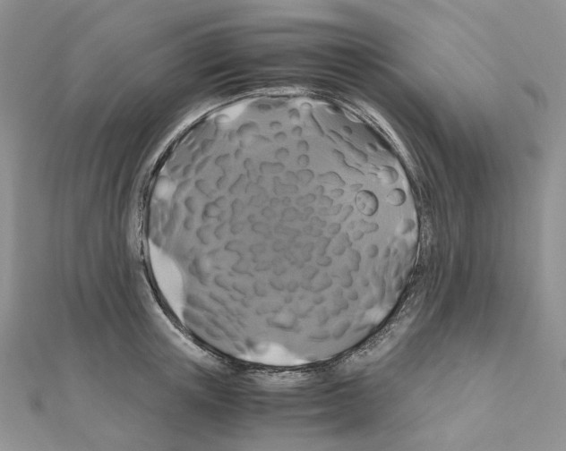 X0000110990851200907311008