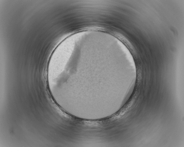 X0000110990852200907311008