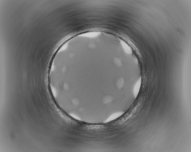 X0000110990853200907311008