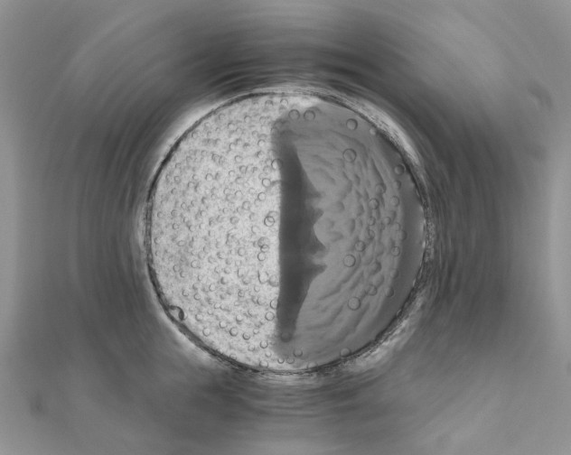 X0000110990855200907311008