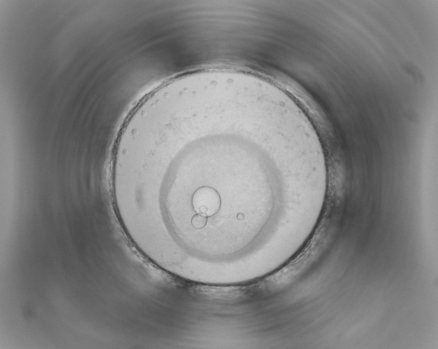 X0000110990856200907311008