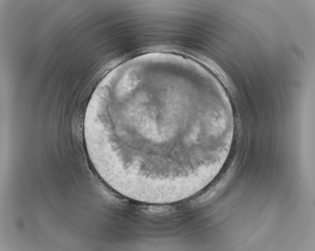 X0000110990857200907311008