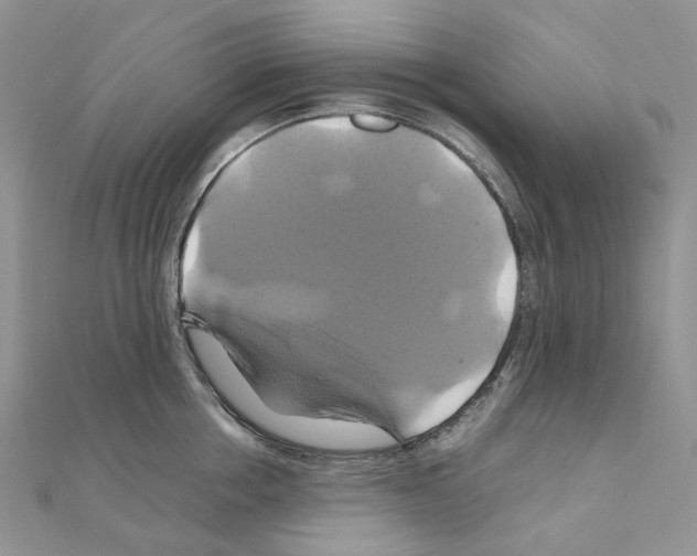 X0000110990858200907311008