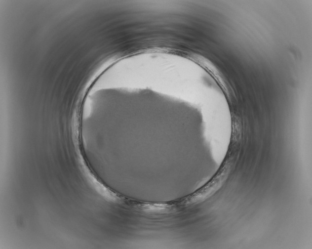 X0000110990859200907311008