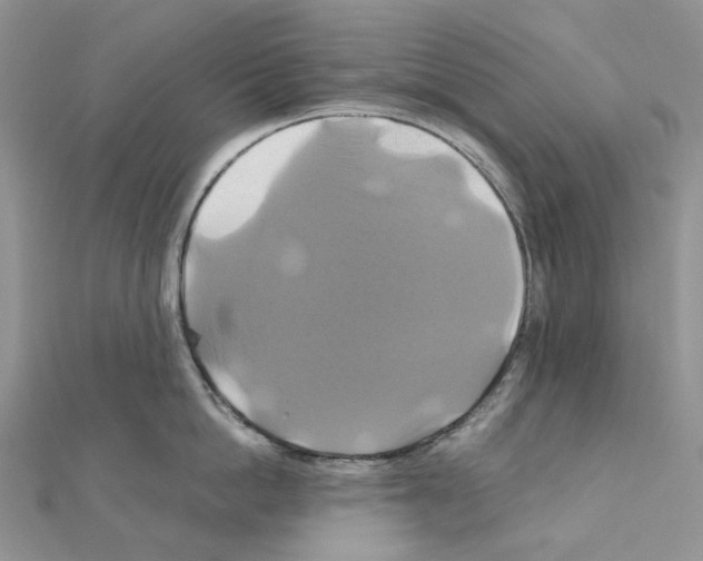 X0000110990862200907311009