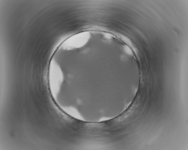 X0000110990863200907311009