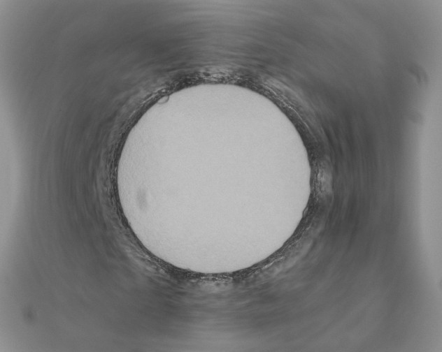 X0000110990865200907311008