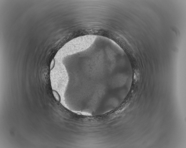 X0000110990867200907311008