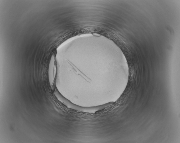 X0000110990868200907311008