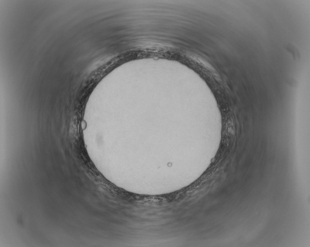 X0000110990869200907311008