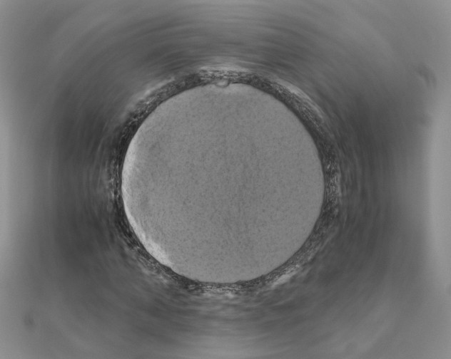 X0000110990870200907311008