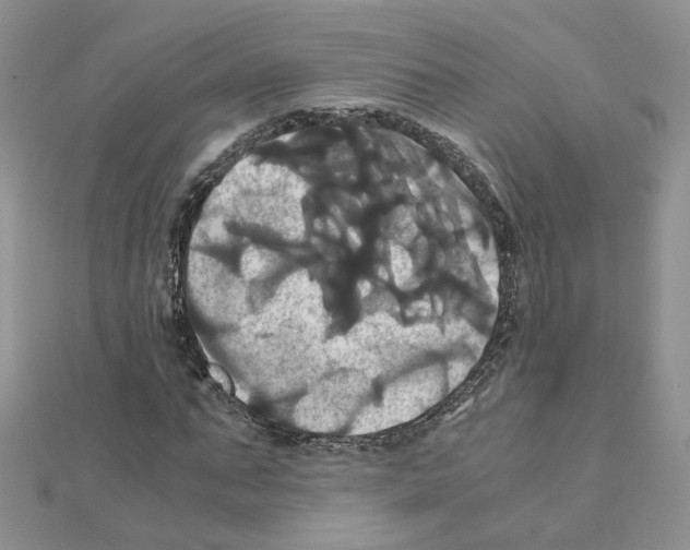 X0000110990871200907311008