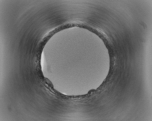X0000110990872200907311008