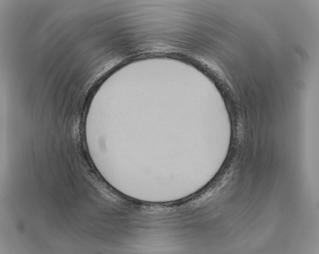 X0000110990873200907311008