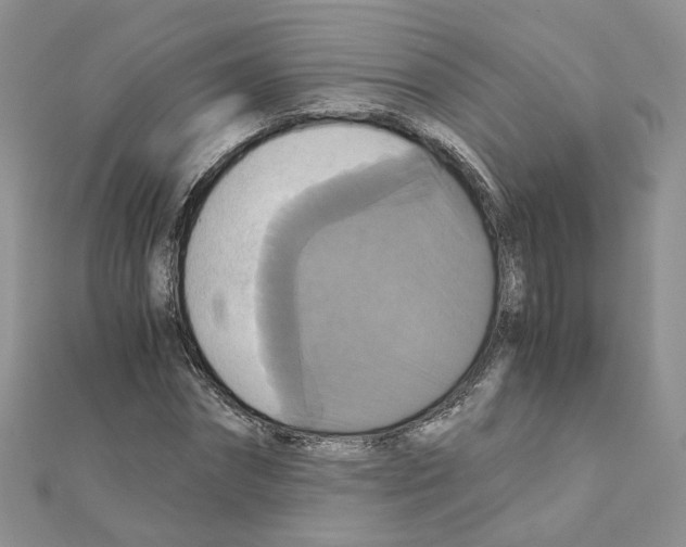 X0000110990874200907311008