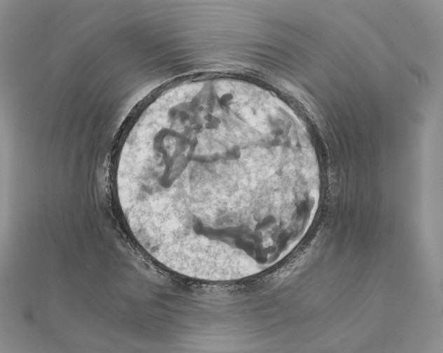 X0000110990875200907311008