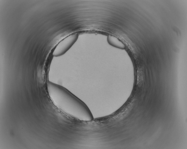 X0000110990876200907311008