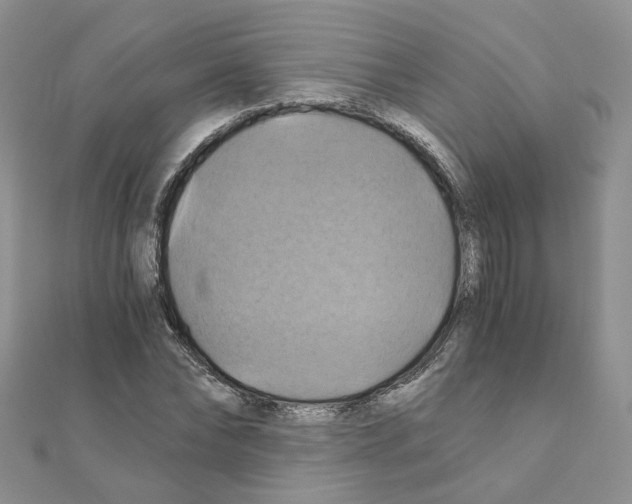 X0000110990878200907311008