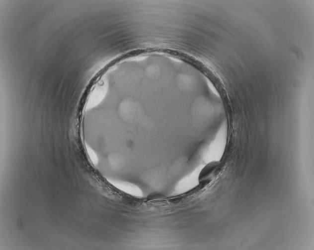 X0000110990879200907311008