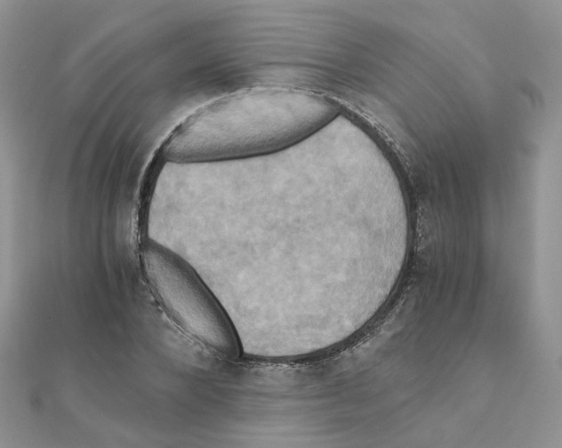 X0000110990880200907311008