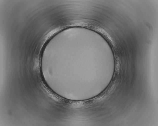 X0000110990882200907311008