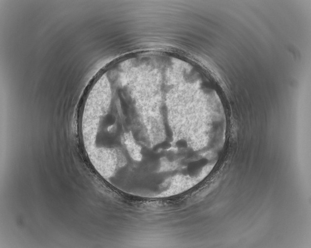 X0000110990883200907311008