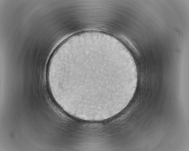 X0000110990884200907311008