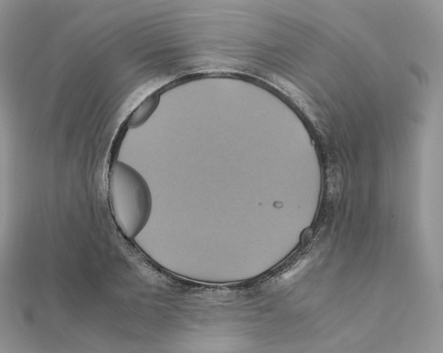 X0000110990885200907311008