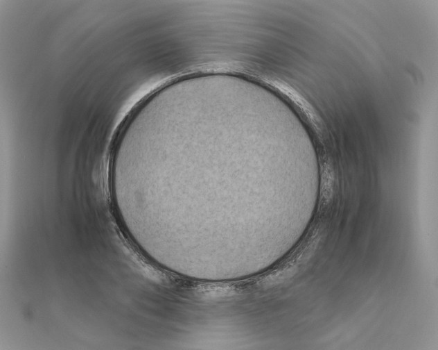 X0000110990886200907311007