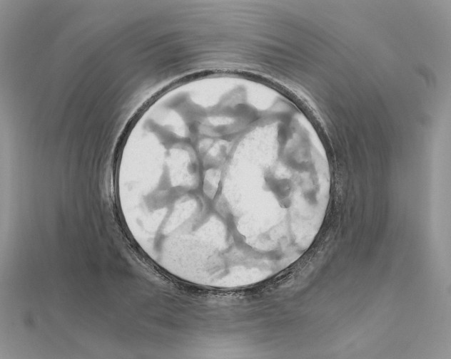X0000110990887200907311007