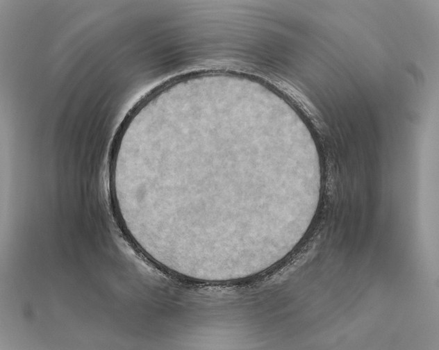 X0000110990888200907311007