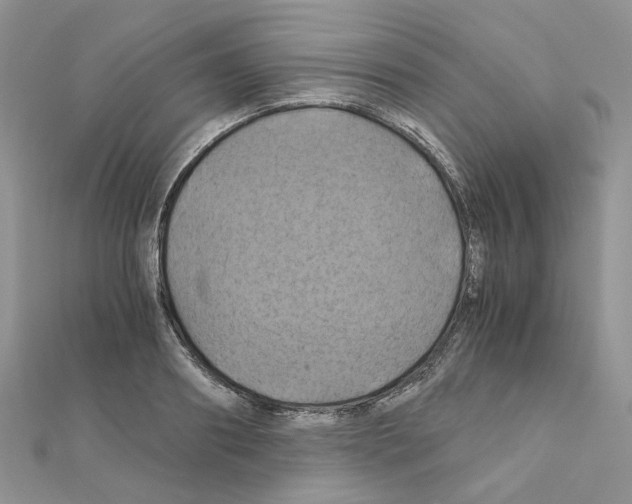 X0000110990890200907311007