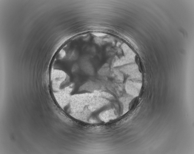 X0000110990891200907311007