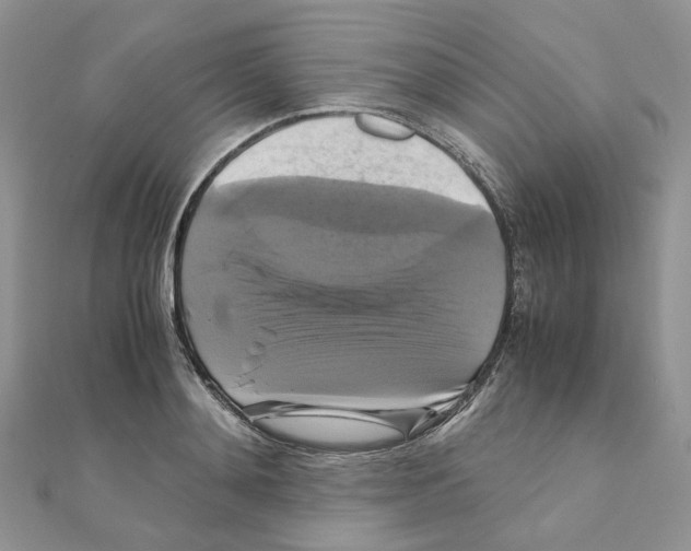 X0000110990892200907311007