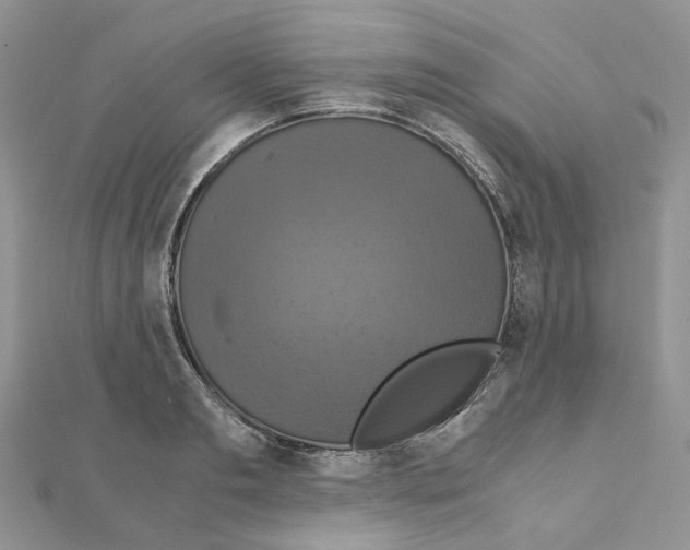 X0000110990893200907311007
