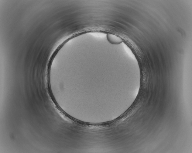 X0000110990894200907311007