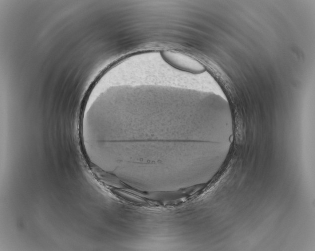 X0000110990896200907311007