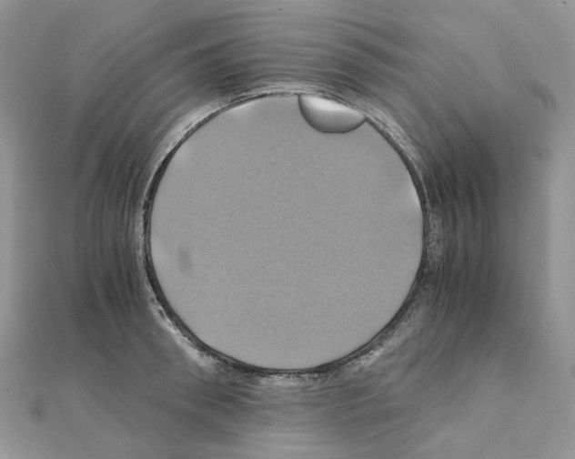 X0000110990898200907311007