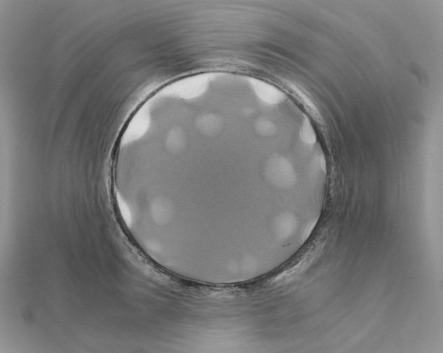 X0000110990899200907311007