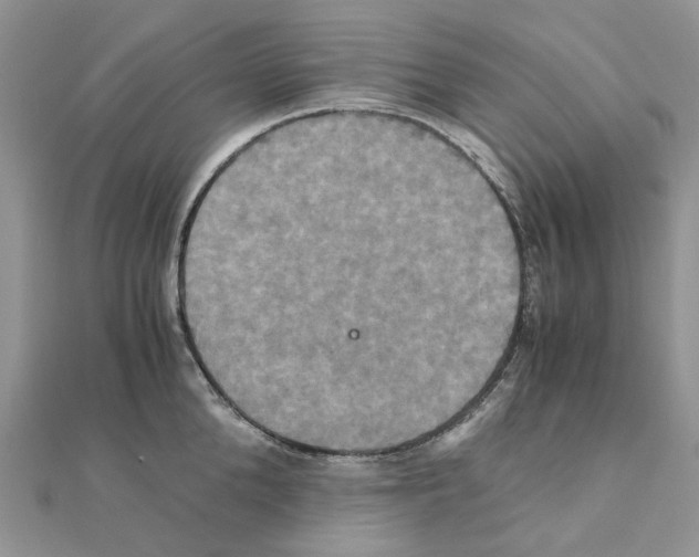 X0000110990904200907311007