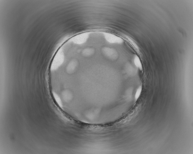 X0000110990907200907311007