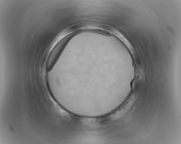 X0000110990909200907311007
