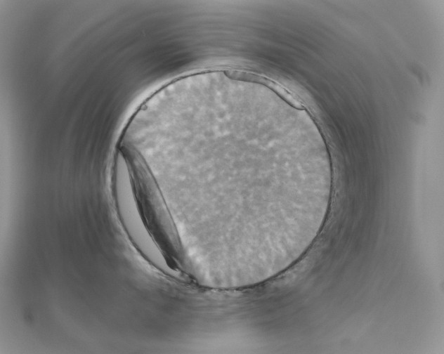 X0000110990912200907311007