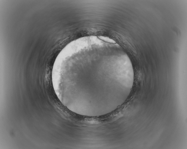 X0000110990914200907311007