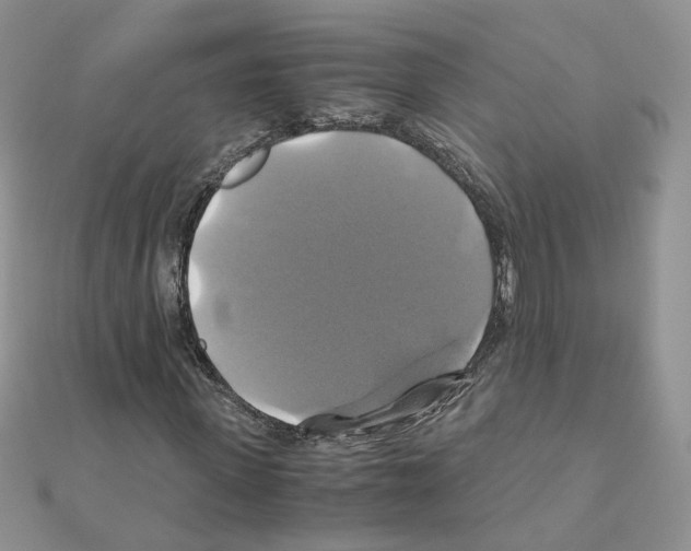 X0000110990915200907311007
