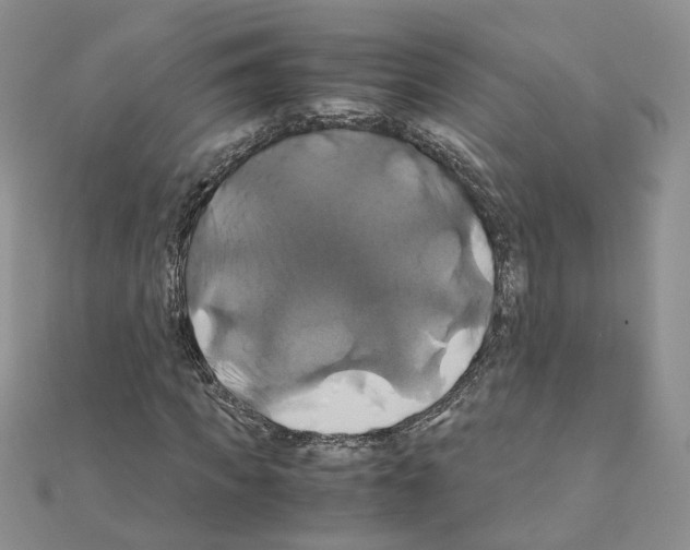 X0000110990917200907311007