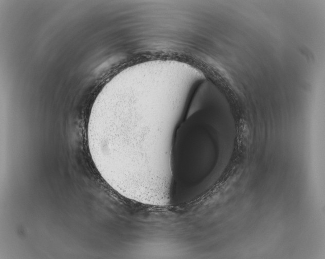 X0000110990918200907311007