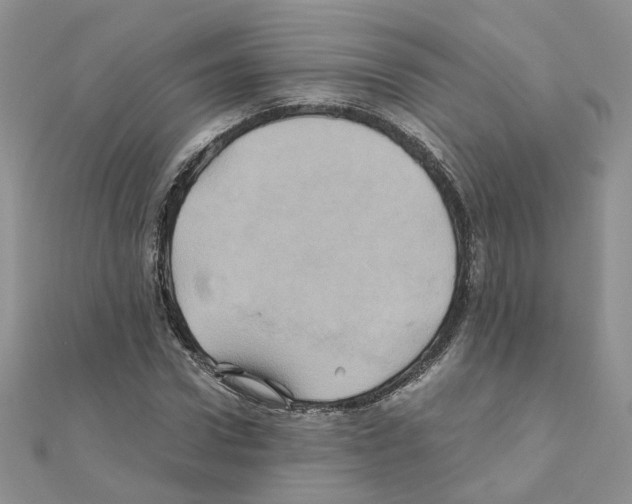 X0000110990922200907311007