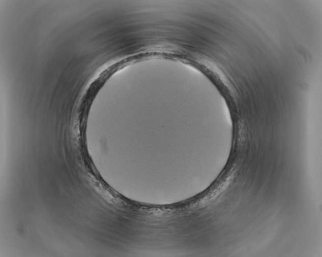X0000110990923200907311007